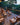 La Manigua Lodge eco-lodge, La Macarena, Colombia - gallery 5