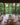 La Manigua Lodge eco-lodge, La Macarena, Colombia - gallery 6